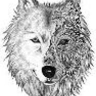groldwolf